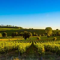 Monograms France Travel Packages 2026 & 2027